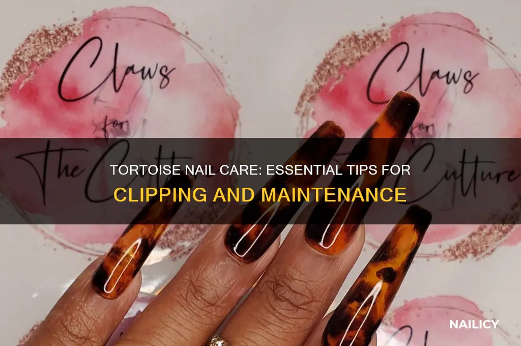 do tortoise nails need clipping