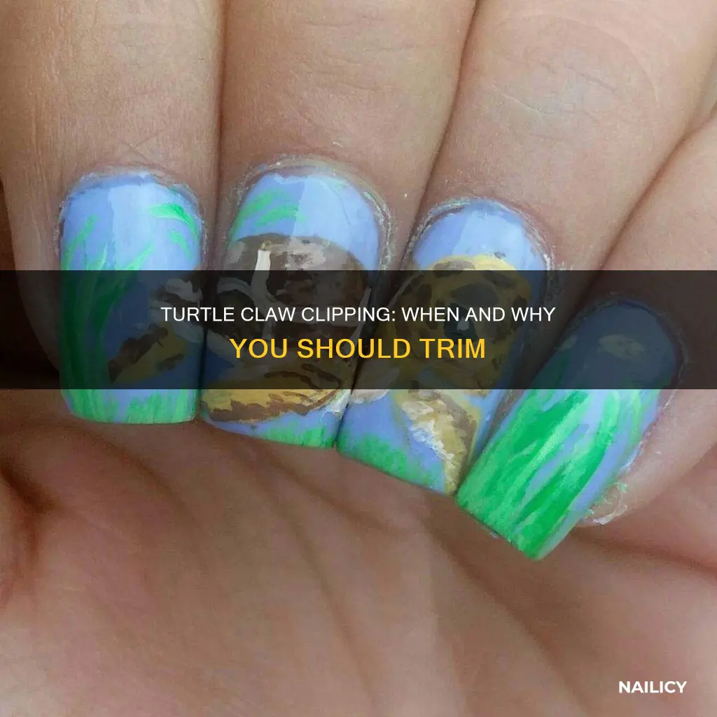 do turtles need their nails cut