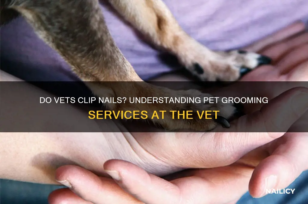do vets clip nails