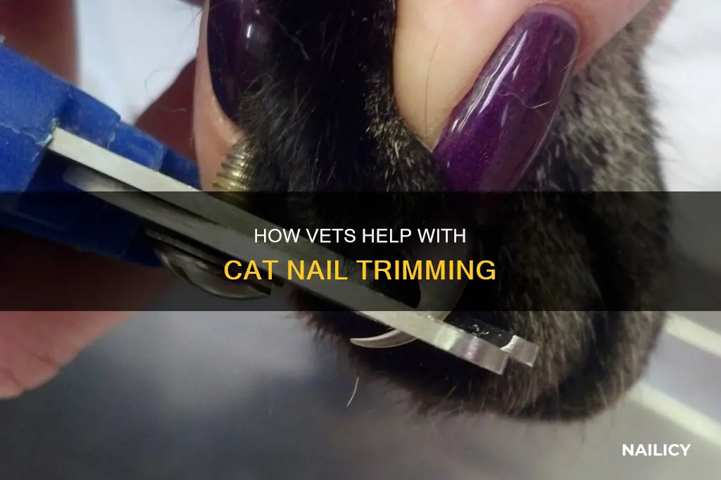 do vets cut cat nails