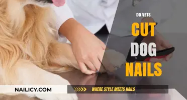 How Vets Painlessly Trim Dog Nails