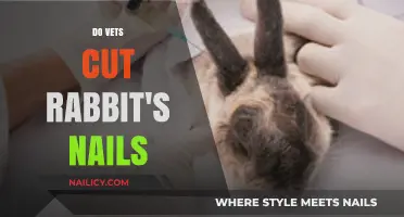 Rabbit Nail Care: Vets and Nail Trimming