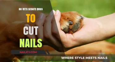 Sedating Dogs for Nail Trims: Is It Necessary?