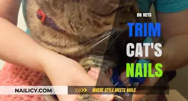 Trimming Cat Nails: When Vets Step In