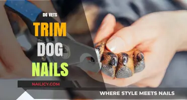 Vets and Dog Nail Trimming: What You Need to Know