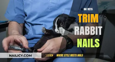 Vets Can Help Trim Your Rabbit's Nails