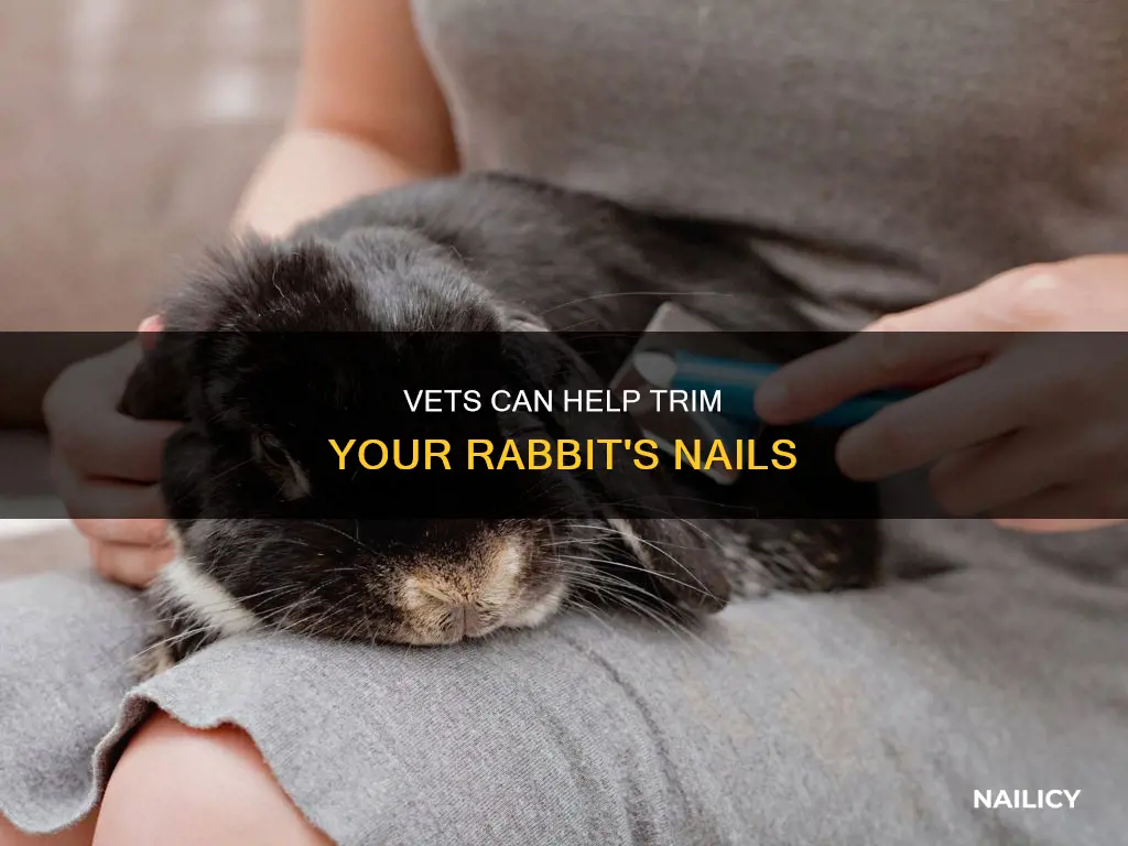 do vets trim rabbit nails