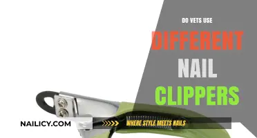 Paws and Reflect: The Truth About Vet Nail Clippers