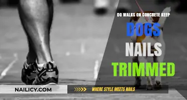 Concrete Walks: Trim Your Dog's Nails?