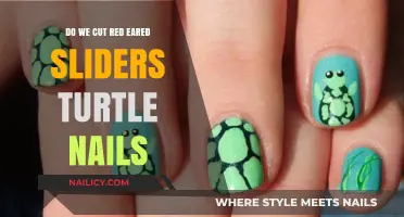 Trimming Red-Eared Sliders' Nails: A Necessary Task
