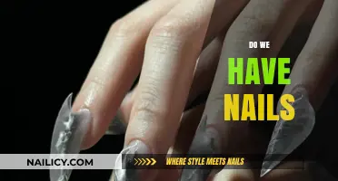Why Do Humans Have Nails? Exploring Their Purpose and Evolution