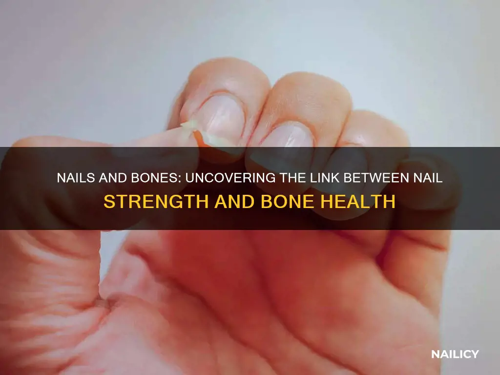 do weak nails mean weak bones