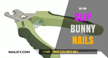 How to Safely Trim Your Bunny’s Nails: A Complete Guide
