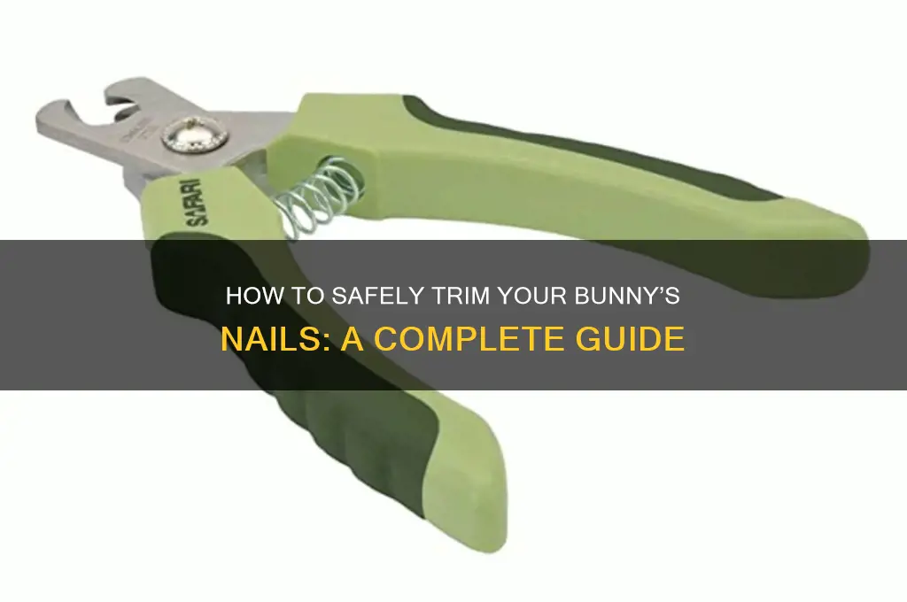 do you clip bunny nails