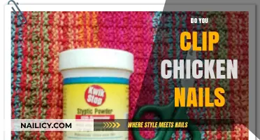 Clipping Chicken Nails: Essential Care Tips for Healthy, Happy Poultry