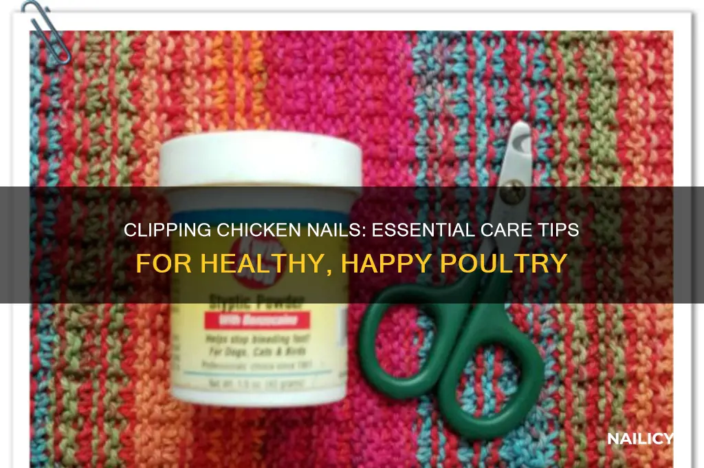 do you clip chicken nails