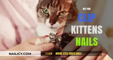 Should You Trim Kitten Claws? A Guide to Nail Care