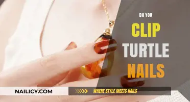 Should You Trim Your Turtle's Nails? A Complete Care Guide