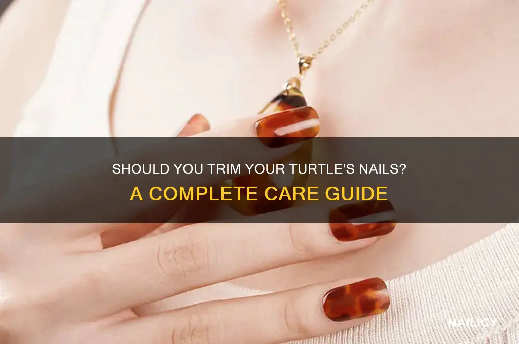 do you clip turtle nails