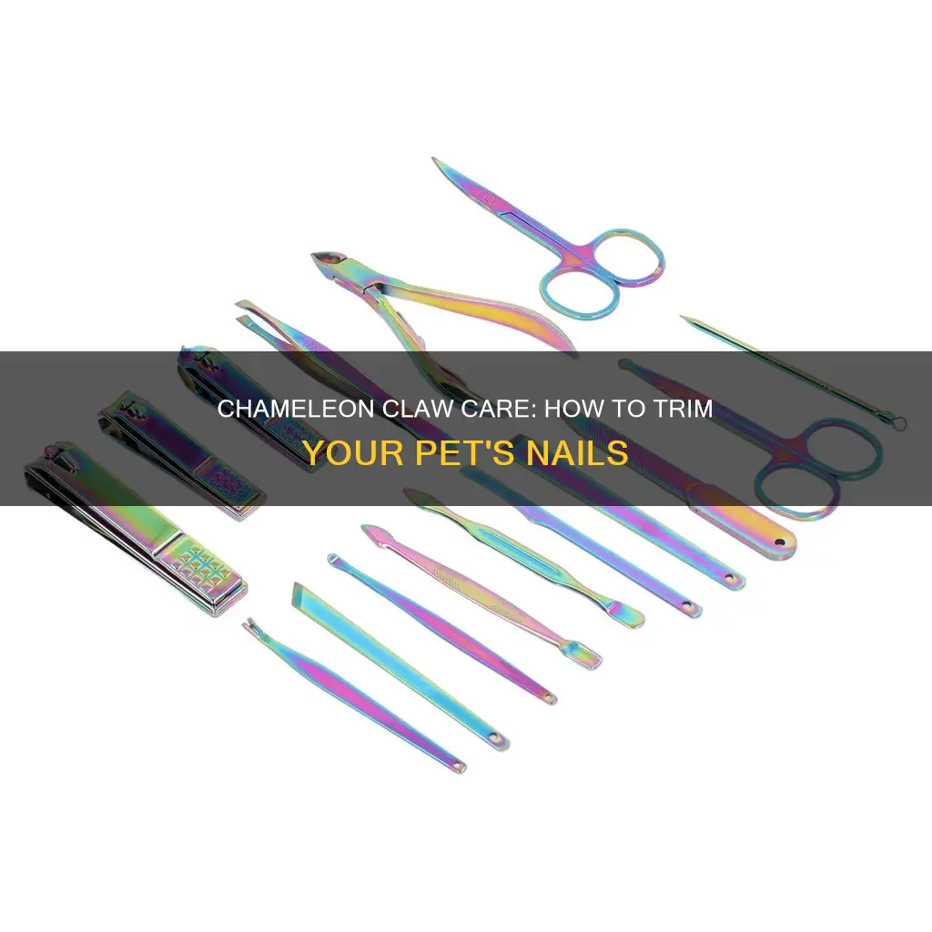 do you cut chameleons nails