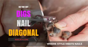 How to Trim Your Dog's Nails Safely
