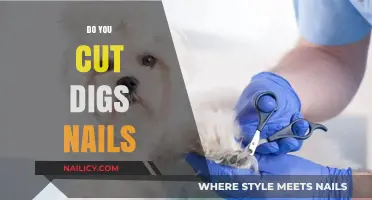 How to Trim Your Dog's Nails Safely