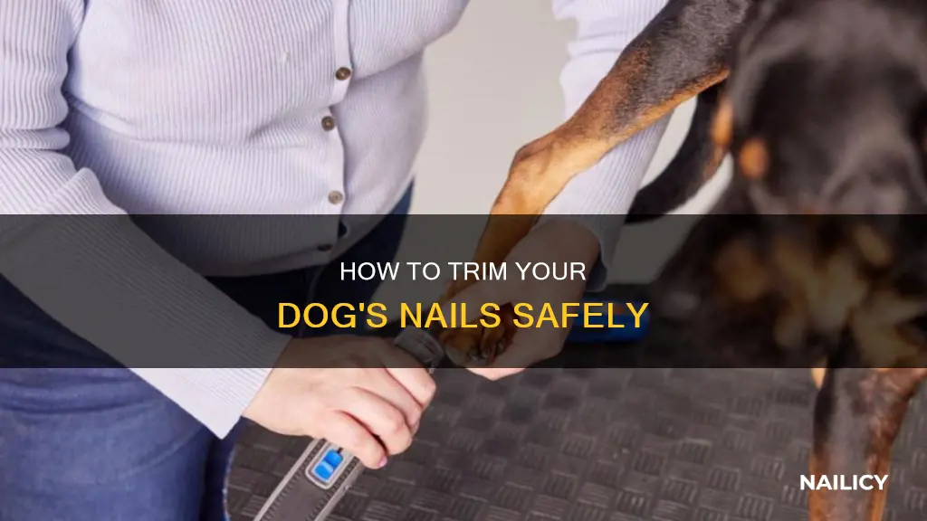do you cut digs nails