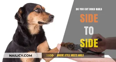 How to Trim Dog Nails: Side to Side?