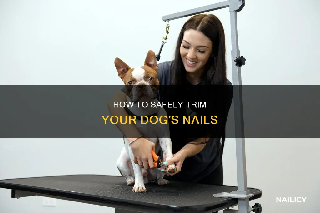 do you cut dog