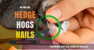 How to Trim Your Hedgehog's Nails Safely