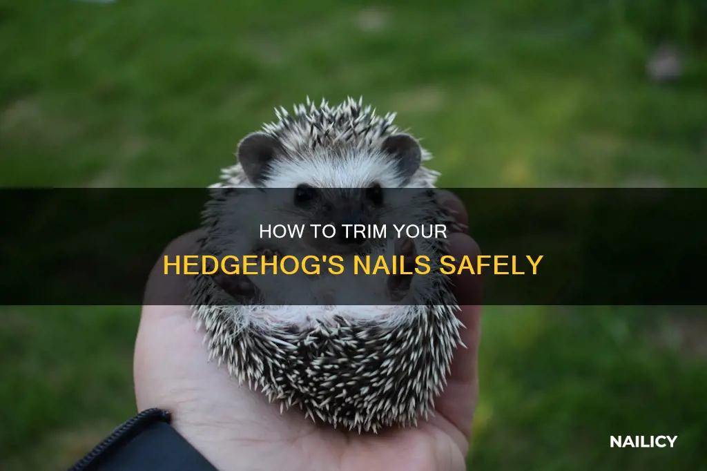 do you cut hedge hogs nails