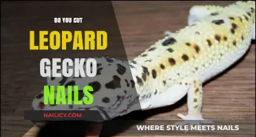 Leopard Gecko Nails: Trimming and Care Tips