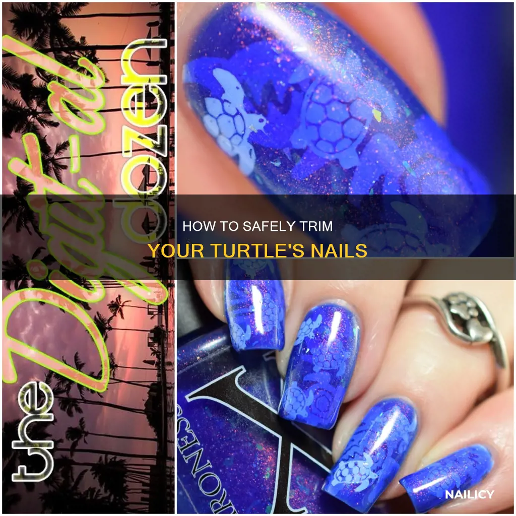 do you cut turtle nails
