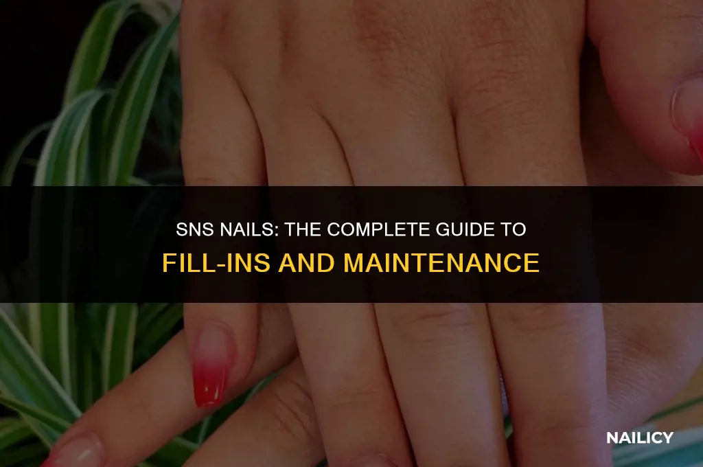 do you get fill ins with sns nails