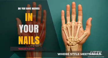 Do Nails Have Nerves? Uncovering the Truth About Fingertip Sensations
