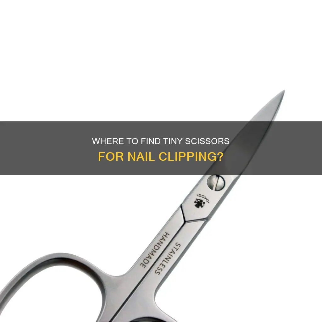 do you have small scissors to cut nails duolingo