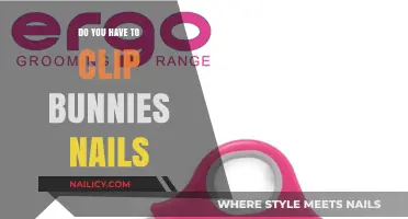 Bunny Nail Care: Clipping Essentials for Healthy, Happy Rabbits