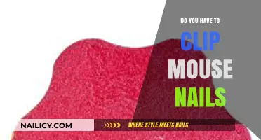 Should You Trim Your Mouse's Nails? A Pet Owner's Guide