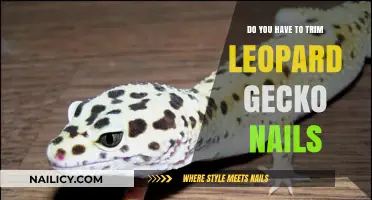 Leopard Gecko Nail Trimming: An Essential Care Guide