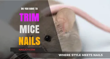 Trimming Mice Nails: A Necessary Grooming Task