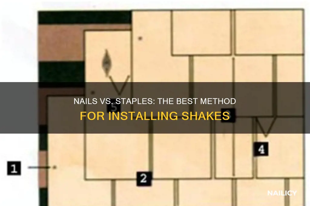 do you install shakes with nails or staples