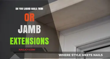Liquid Nails: Trim or Jamb Extensions?