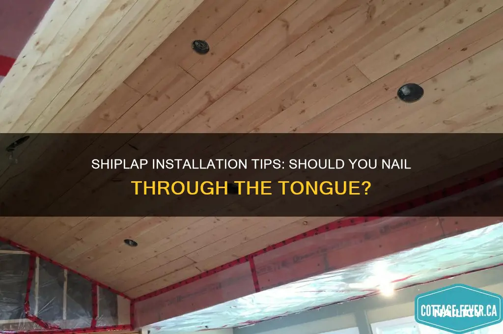do you nail shiplap through the tongue