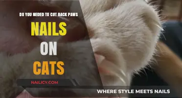 Trimming Cat Claws: When and Why You Should Cut Them