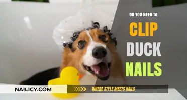 Clipping Duck Nails: Essential Care or Unnecessary Task?