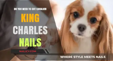 Cavalier Nails: To Cut or Not to Cut?