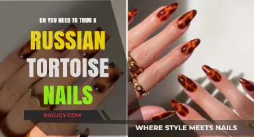 Tortoise Claw Trimming: When and How to Trim Your Russian Tortoise's Nails