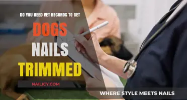 Paws and Policies: Vet Records for Dog Nail Trims?
