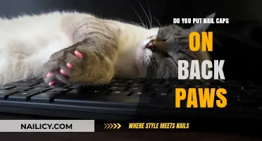 Should You Use Nail Caps on Your Cat's Back Paws?