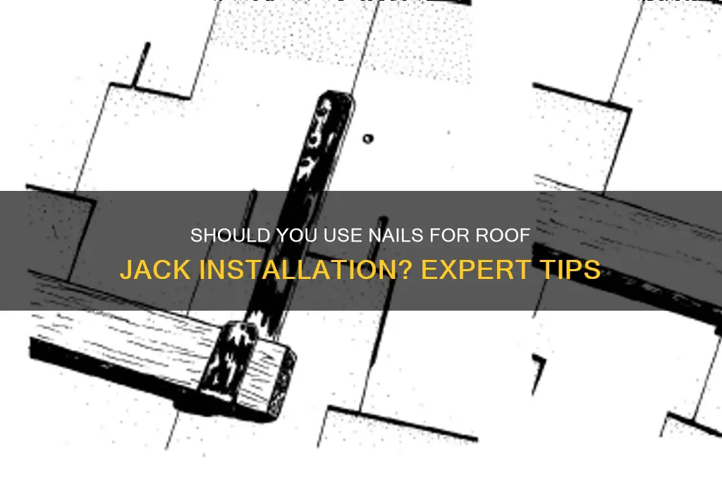 do you put nails in roof jack